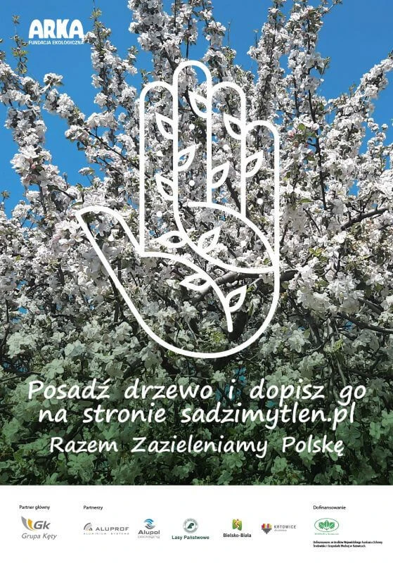 70 tyś drzew na jubileusz Grupy Kęty