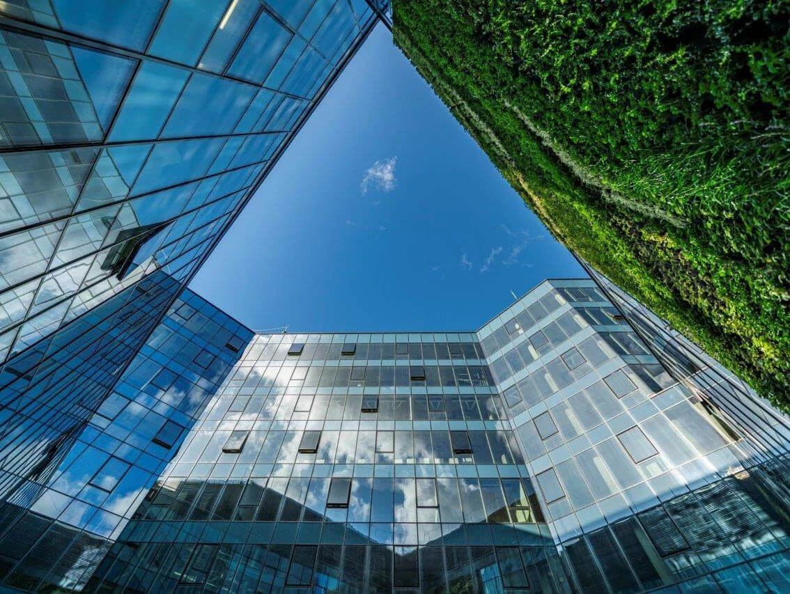 AZ ÉPÜLETEKEN MEGJELENŐ ZÖLD NÖVÉNYZET A  KIEGYENSÚLYOZATLAN URBANIZÁCIÓ NEGATÍV HATÁSAINAK ELIXÍRJE