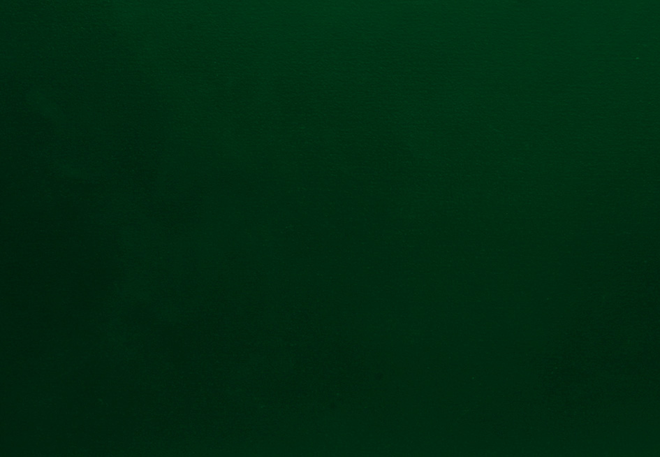 17 - jedlová zeleň