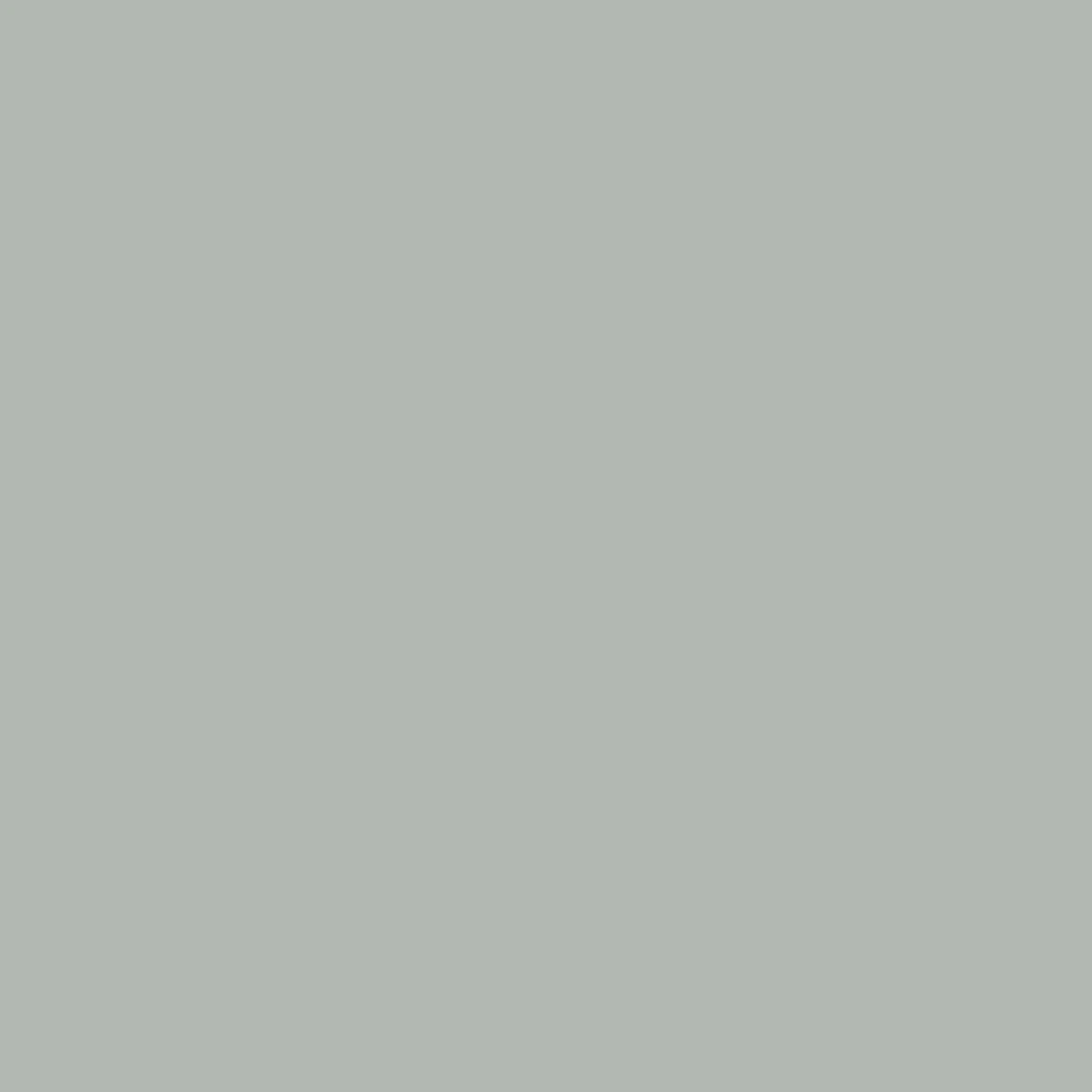 RAL 7038 MAT*