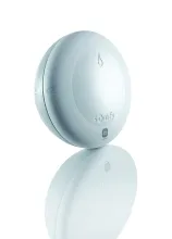 Somfy Thermis Wirefree IO temperature sensor